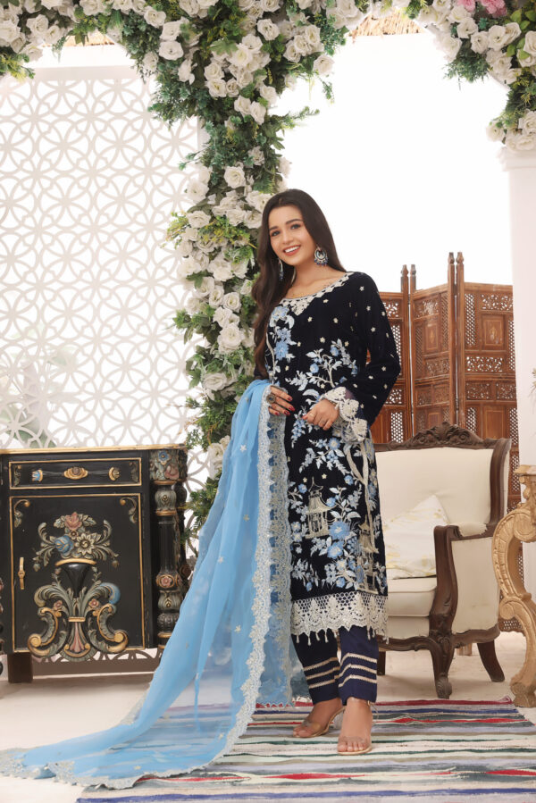 Hadiaeman Embroidered Velvet Collection 23′