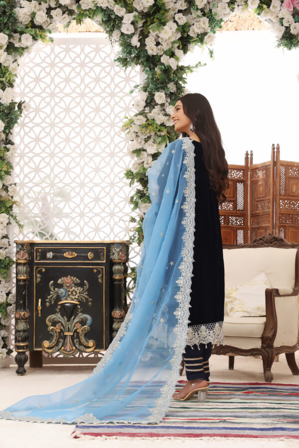 Hadiaeman Embroidered Velvet Collection 23′ - Image 3