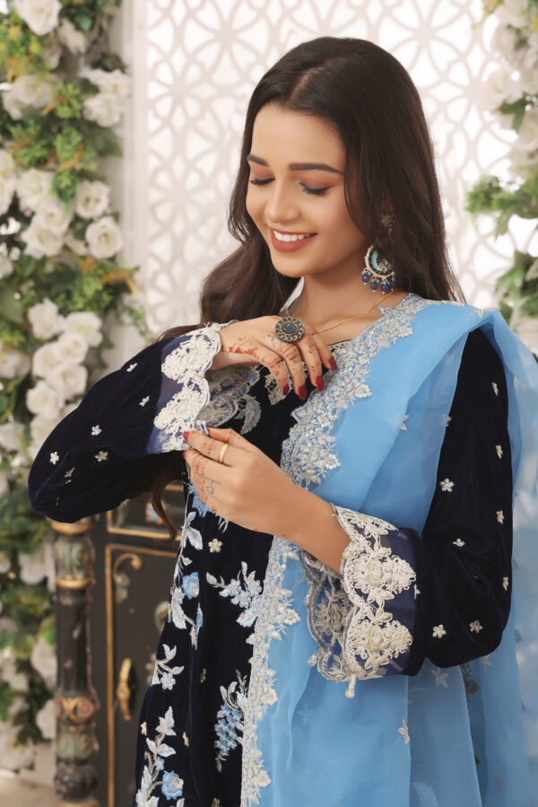 Hadiaeman Embroidered Velvet Collection 23′ - Image 4