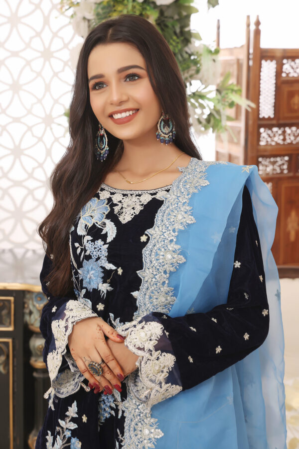 Hadiaeman Embroidered Velvet Collection 23′ - Image 5