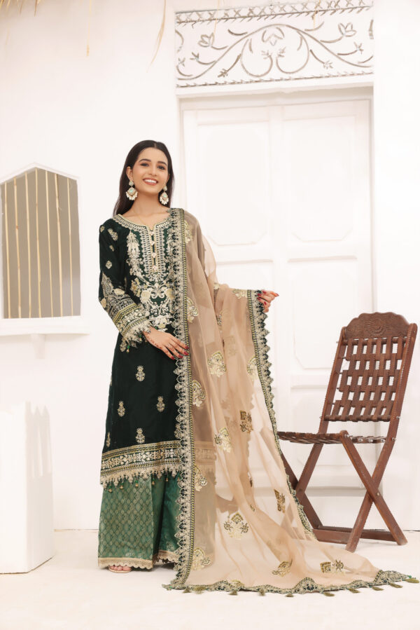 Hadiaeman Embroidered Velvet Collection 23′ - Image 2