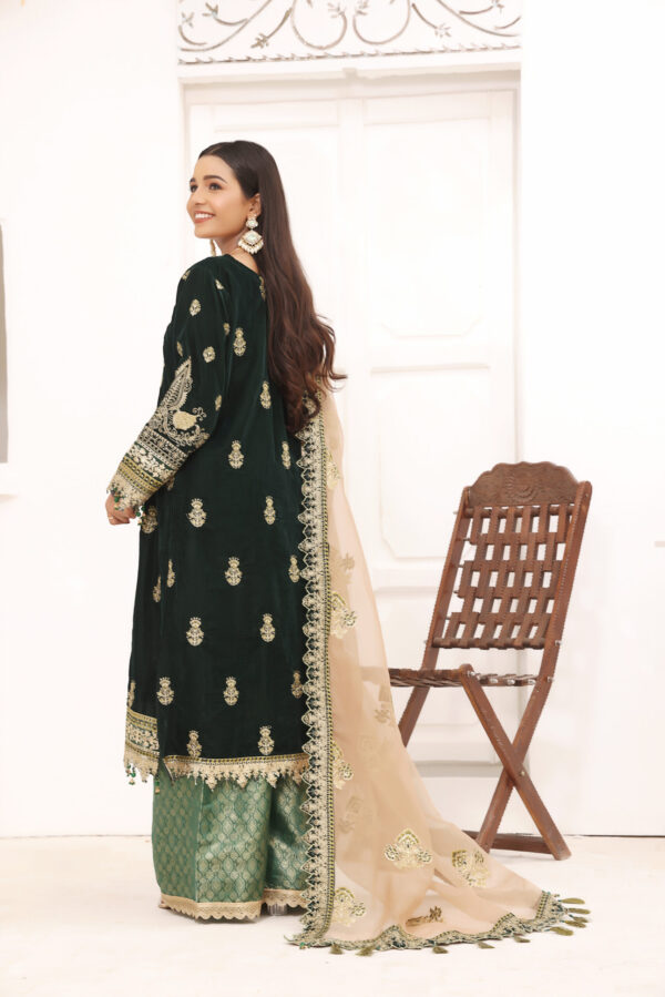 Hadiaeman Embroidered Velvet Collection 23′ - Image 3