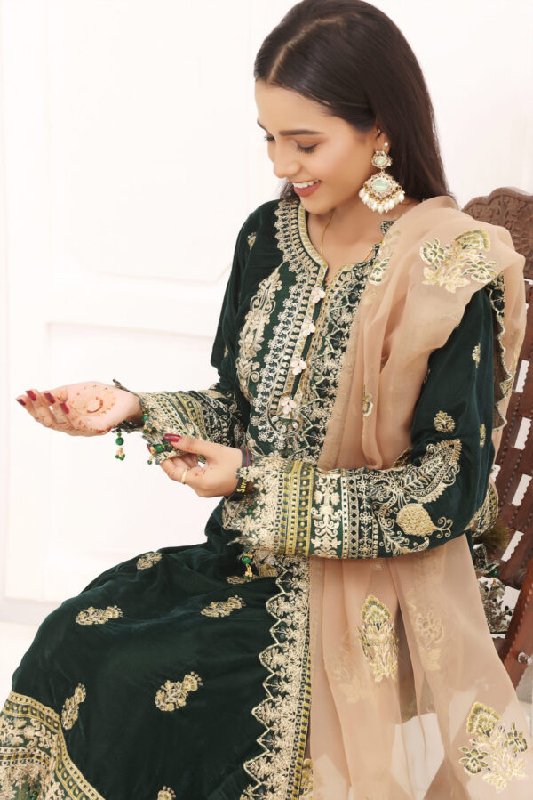 Hadiaeman Embroidered Velvet Collection 23′ - Image 4