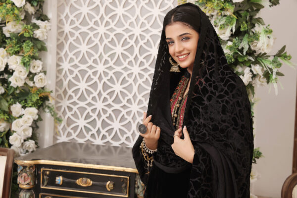 Hadiaeman Embroidered Velvet Collection 23′ - Image 6