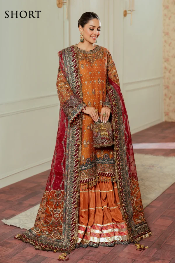 Baroque Chantelle Embroidered Chiffon CH13-01 - Image 2