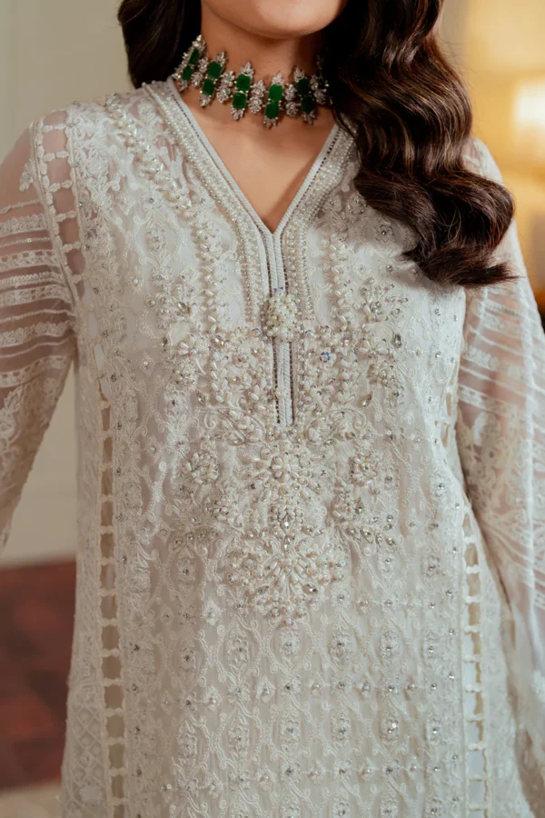 Baroque Chantelle Embroidered Chiffon CH13-02 - Image 9