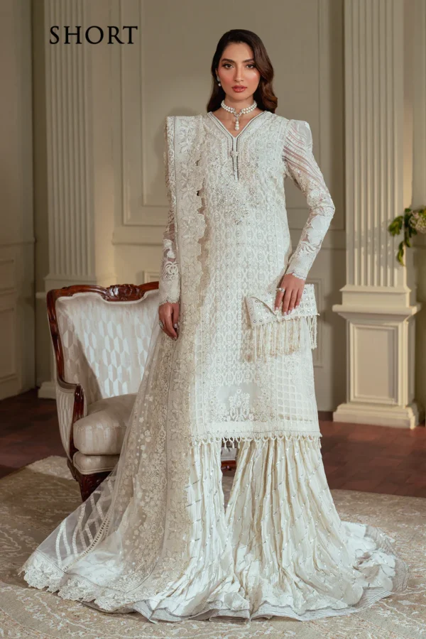 Baroque Chantelle Embroidered Chiffon CH13-02 - Image 14