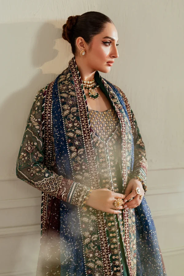 Baroque Chantelle Embroidered Chiffon CH13-03 - Image 15